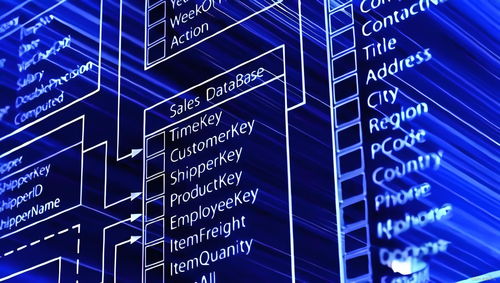 MySQL数据库设计黄金法则 让你的数据更稳定、更高效