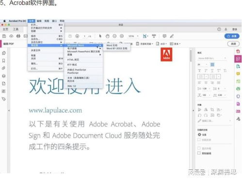 PDF表格制作与Acrobat软件下载 全面玩转数据处理与存储支持服务