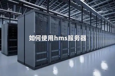 高效利用HMS服务器 数据处理与存储支持全攻略